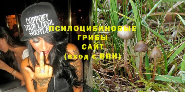 прущие грибы Нефтегорск