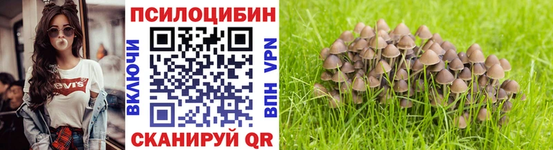 Псилоцибиновые грибы Cubensis  Константиновск 